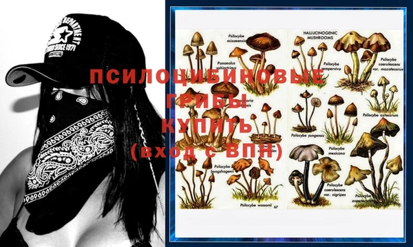прущие грибы Абдулино