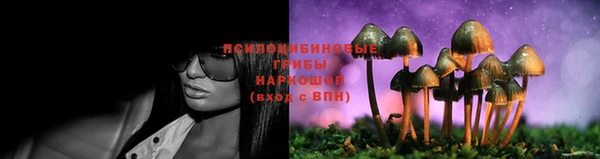 прущие грибы Абдулино