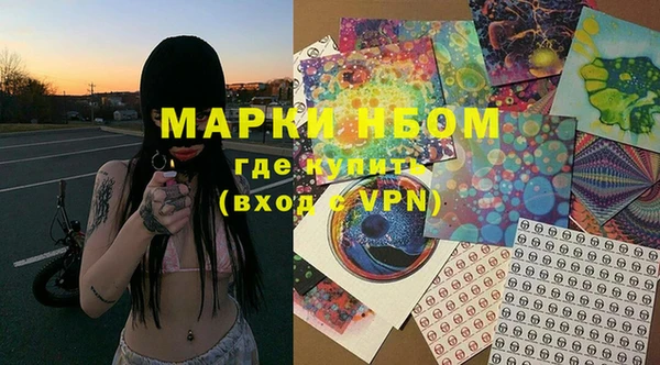 прущие грибы Абдулино
