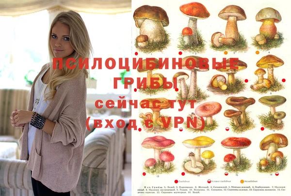 герыч Абинск